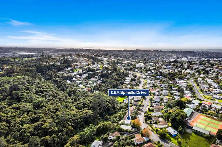 118a Spinella Drive Bayview_29