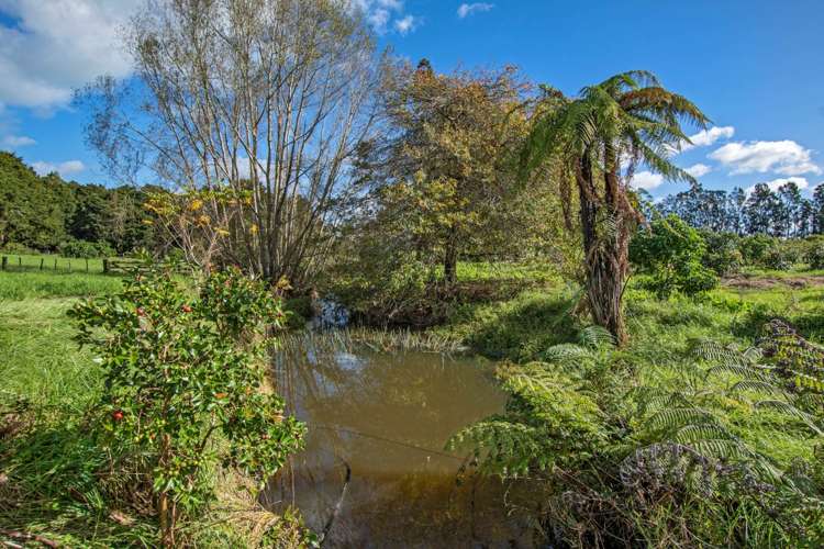 1272 Pipiwai Road Ruatangata_21