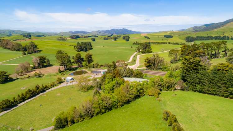 454 Parkville Road Eketahuna_15