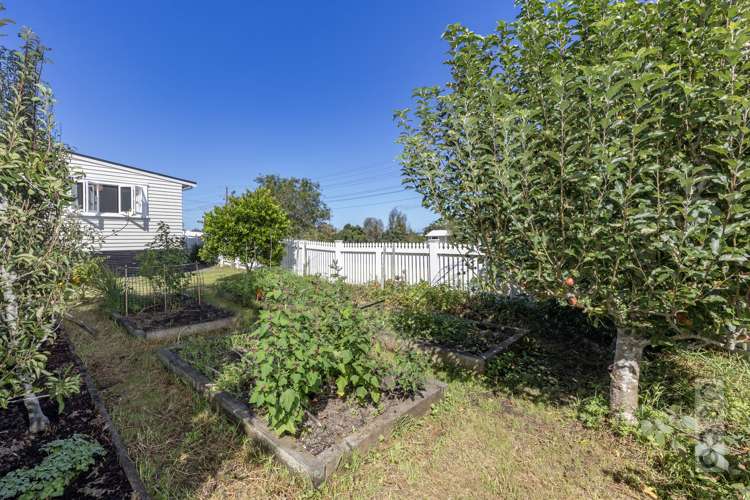 3 Downer Street Helensville_37