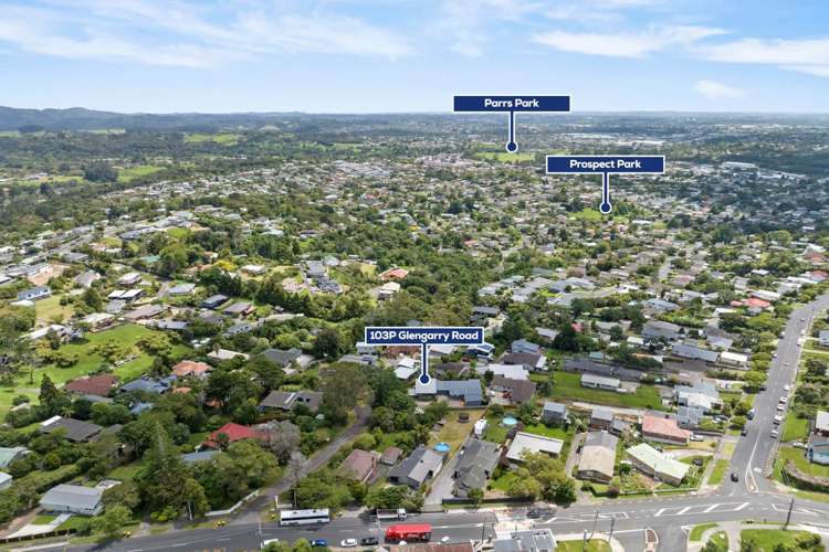 103p Glengarry Road Glen Eden_20