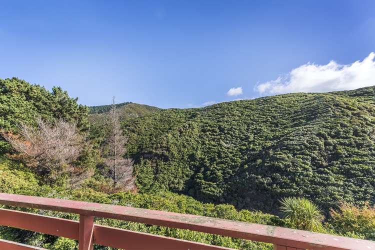 19a Vancouver Street Kingston_11