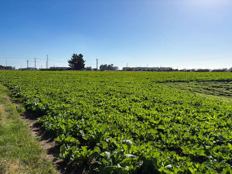 74 Tiwai Road Invercargill_11