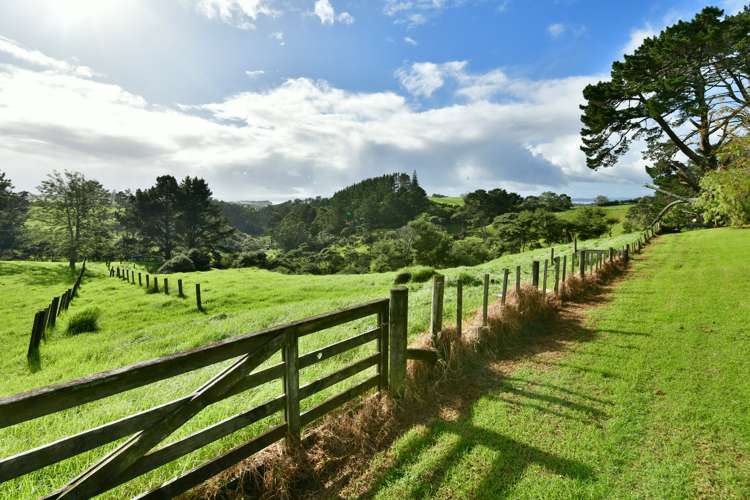 2442 South Head Road South Head_19