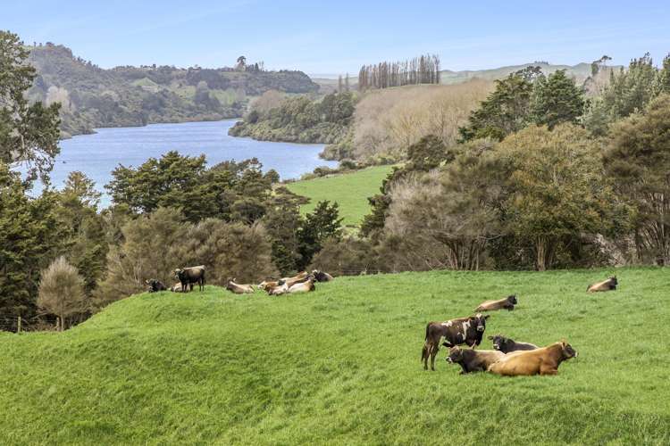 248 Stokes Road Cambridge_4