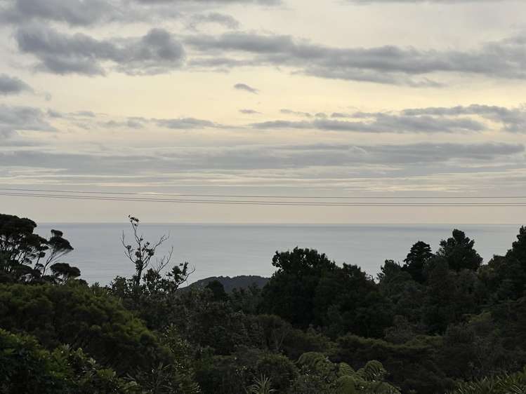 296 Piha Road Piha_37