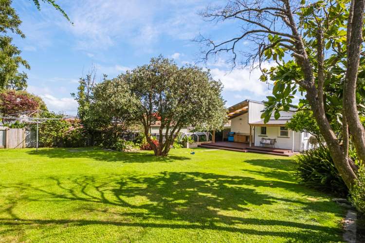 391 Clifford Street Mangapapa_17