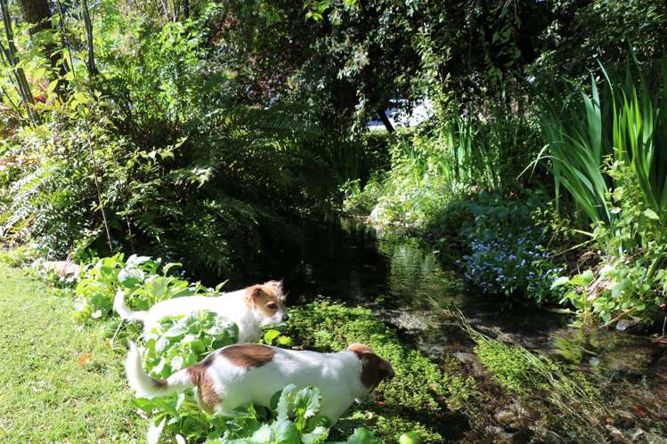 79 Mcdougall Street Wanaka_40