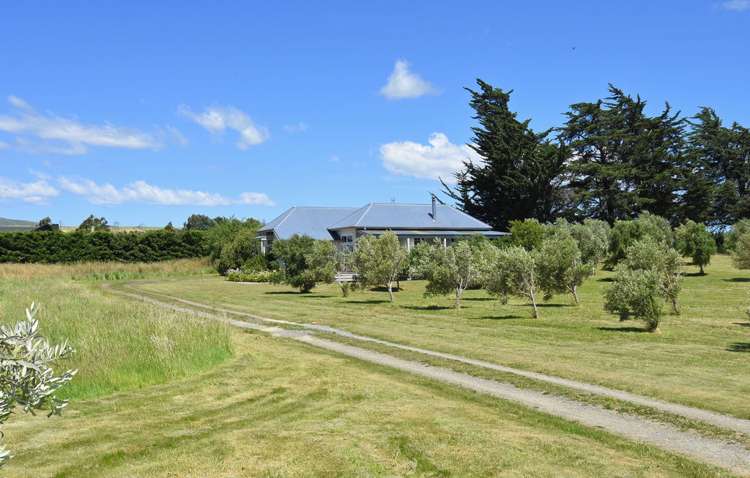 142b Dublin Street Martinborough_17