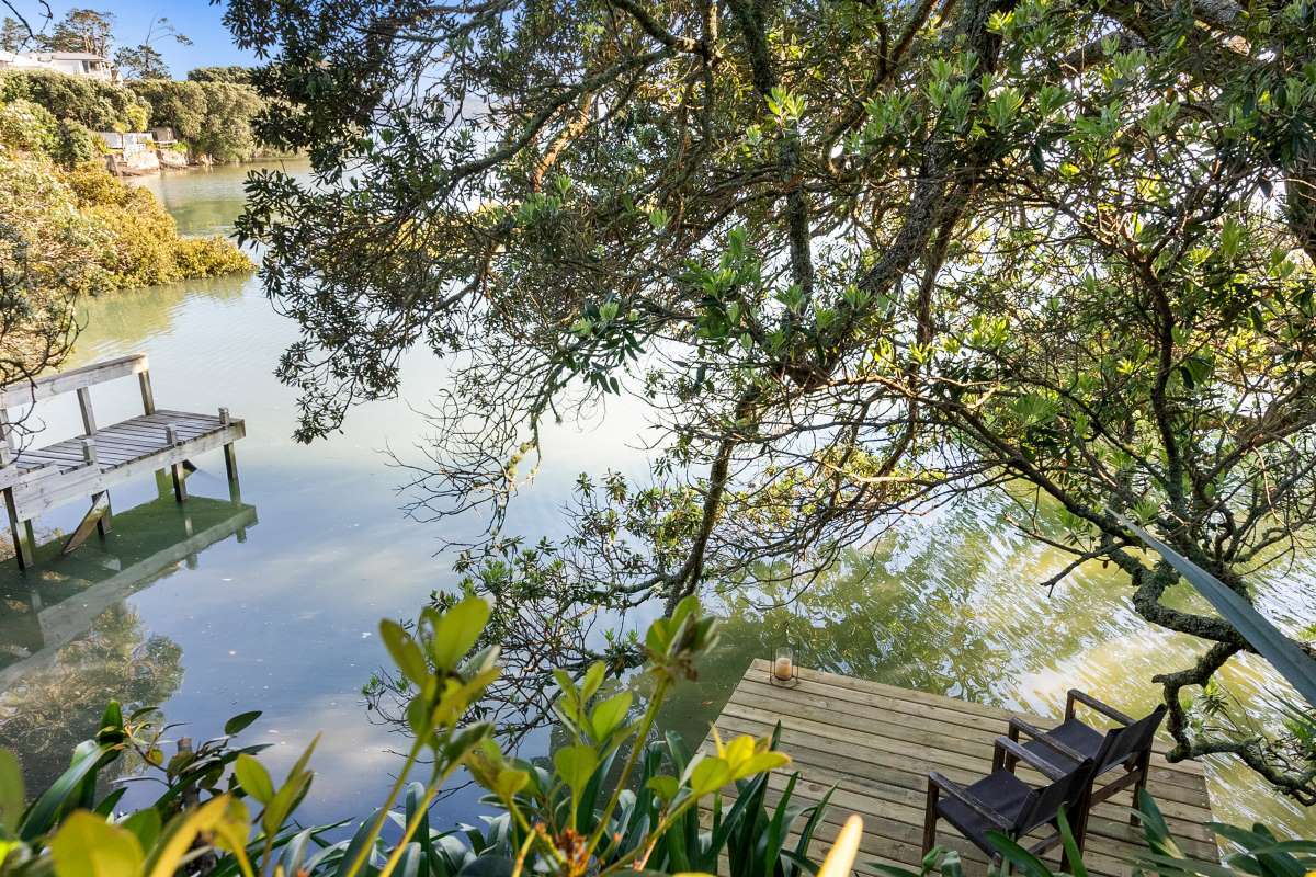 15 Lynch Street in Point Chevalier, Auckland