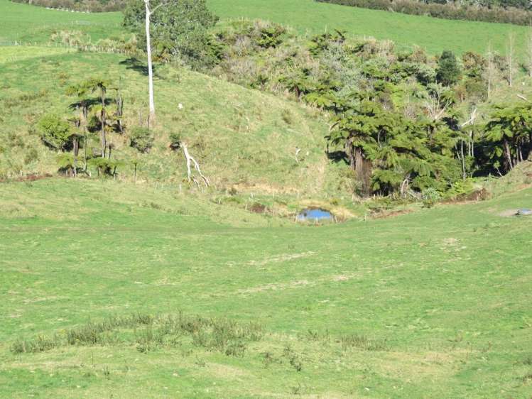 665 Minden Road Wairoa_6