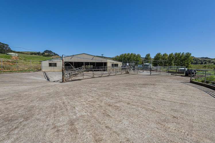 731 Puhipuhi Road Whakapara_11