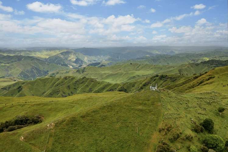 3104 Mangamahu Road Mangamahu_8