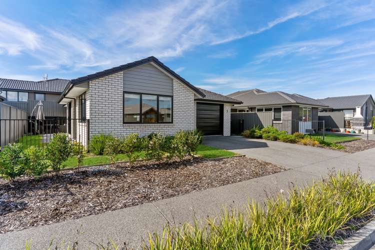 48 Sentinel Avenue Omokoroa_16