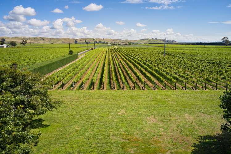 2006 Maraekakaho Road Central Hawkes Bay Coastal_5