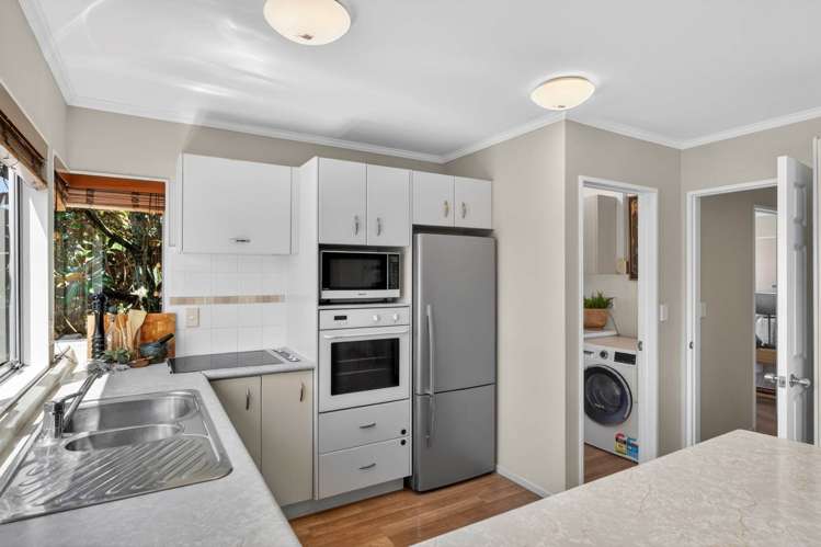 78A Ashby Avenue St Heliers_11