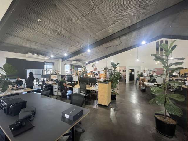 21 Scanlan Street Grey Lynn_4