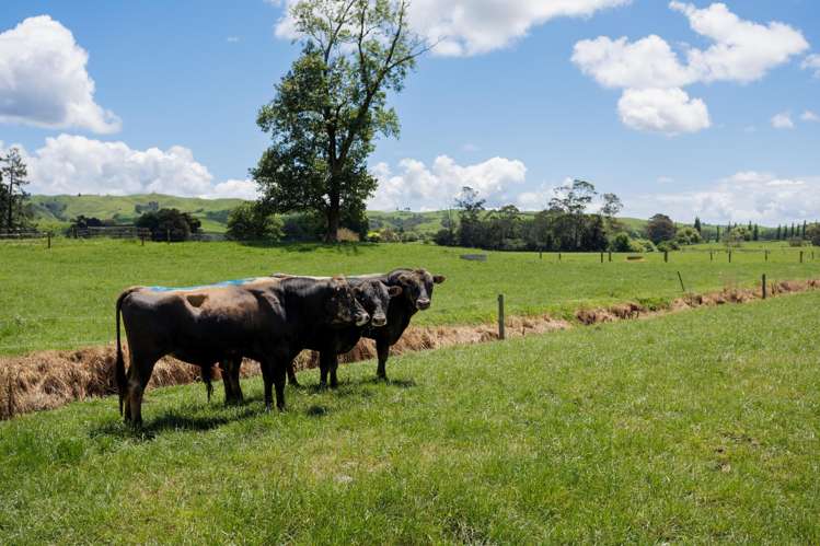 104 Pioneer Road Tahuna_20