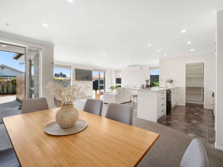 508A Mandeno Street_2