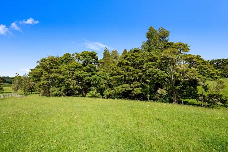 Lot 3 Prictor Rd Wellsford_14