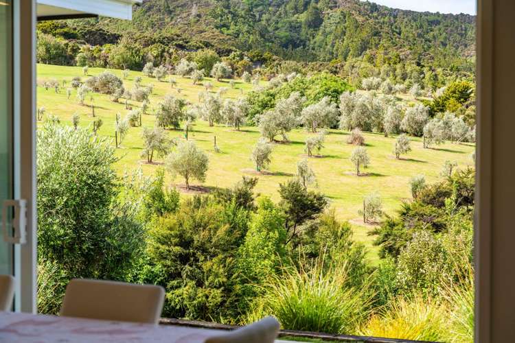 157 Robert Hastie Drive Mangawhai_29