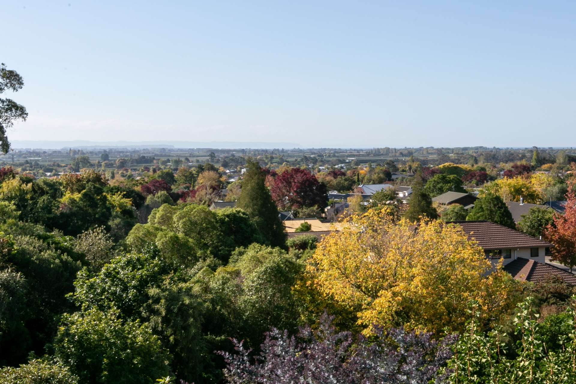 79 Simla Avenue Havelock North_0