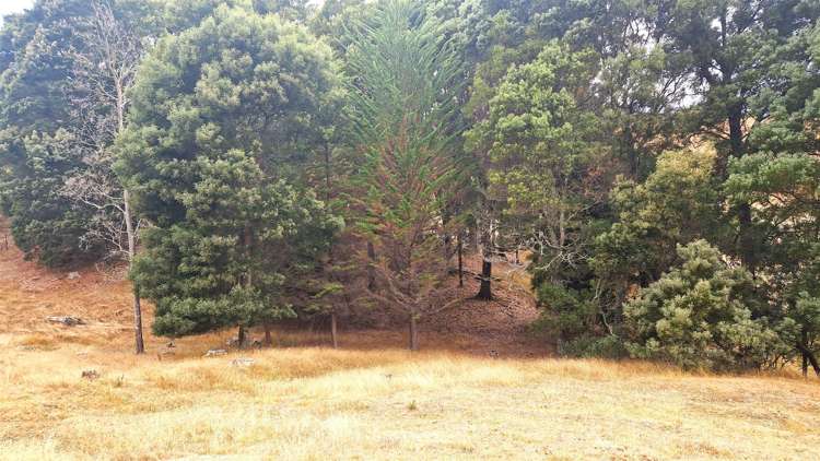 337 Old Coach Road Upper Moutere_11