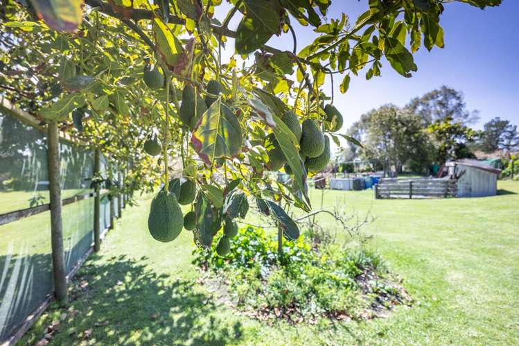 461 Notorious West Road Dargaville Rd1_42