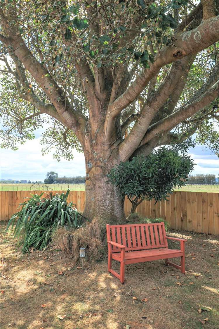 622 Tenfoot Road Taupiri_23