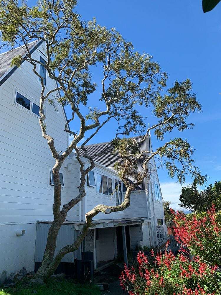 3 Nagpur Terrace Broadmeadows_2