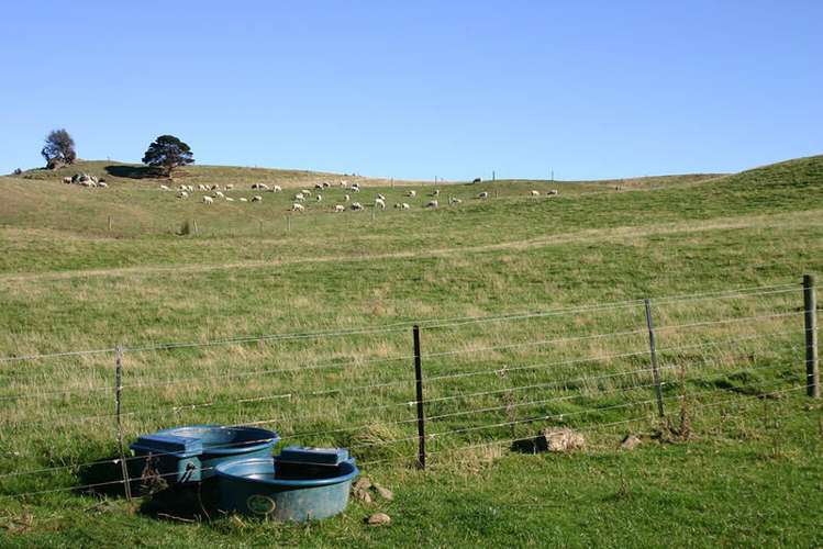 83 Mcmeakin Road Abbotsford_16