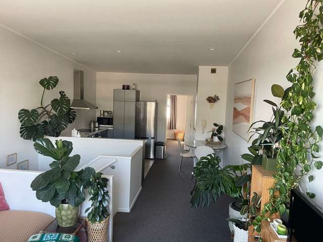 6/3 Ngahura Street Eden Terrace_3