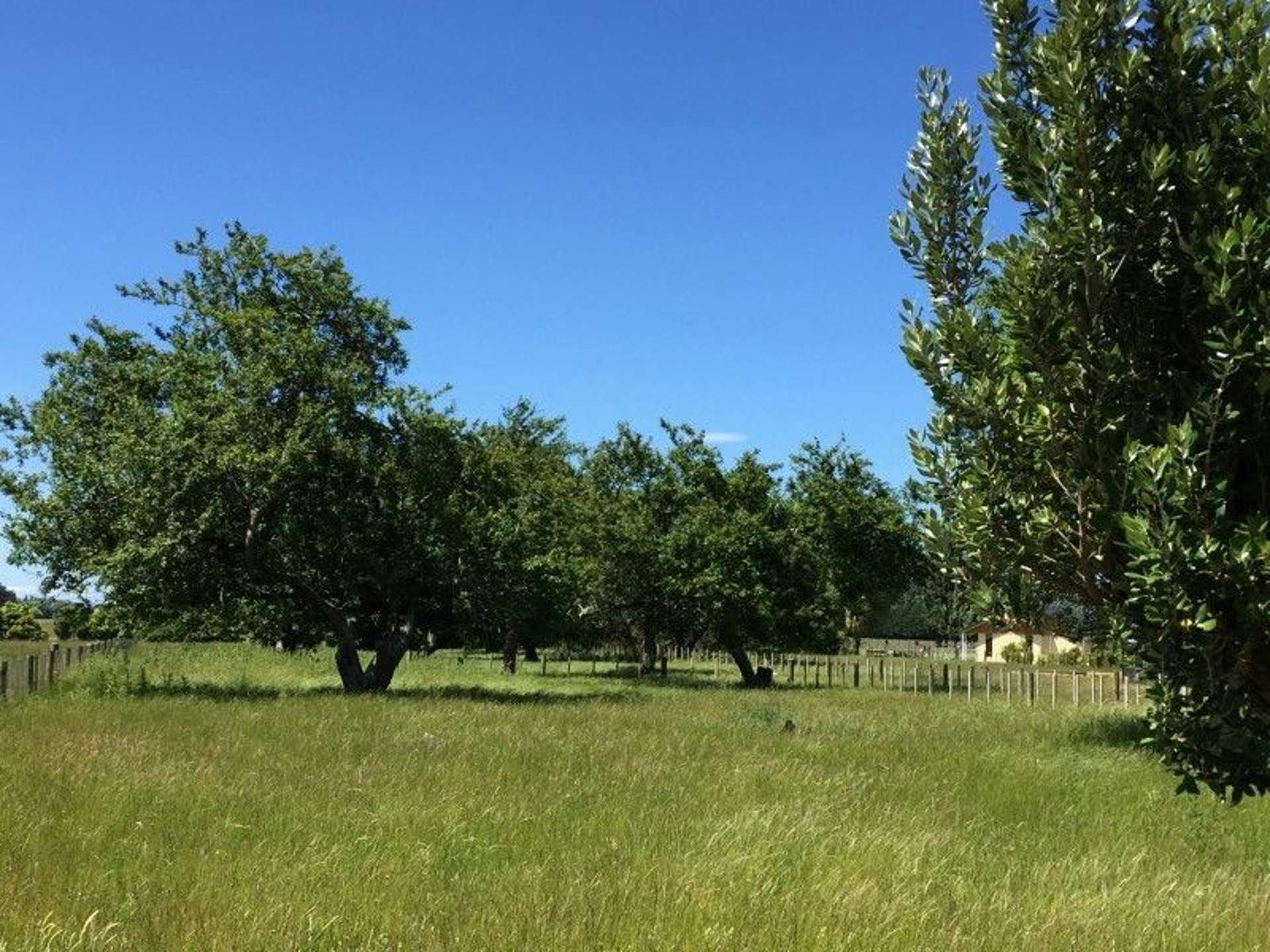 43b Jellicoe Street Greytown_0