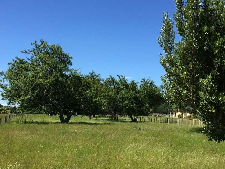 43b Jellicoe Street Greytown_0