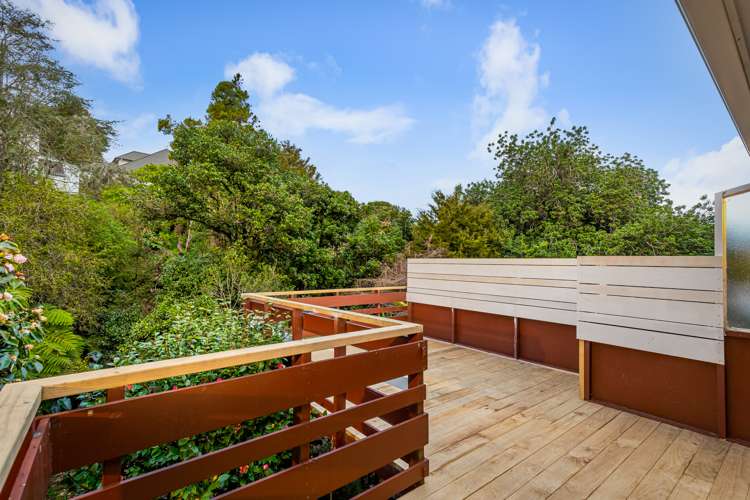 18b Impala Place Hillsborough_11