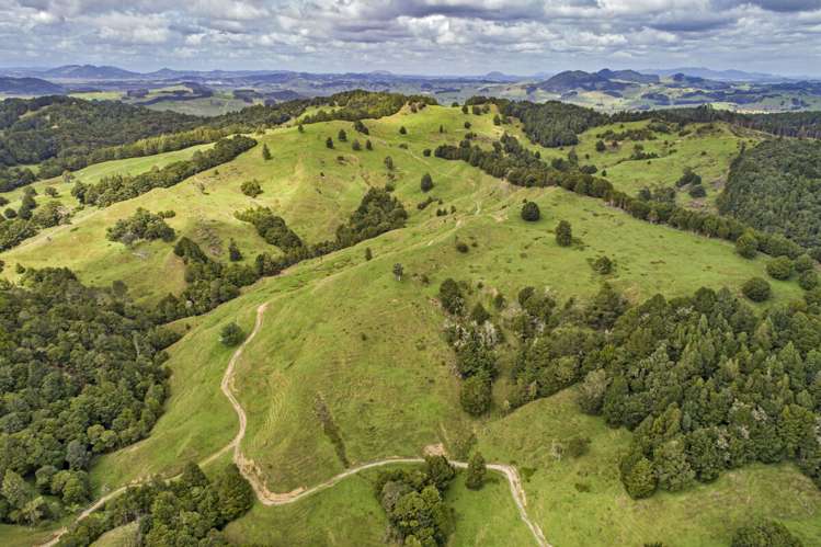 313 Paiaka Road Towai_16