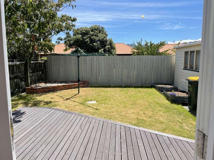 43 William Street 1336_15