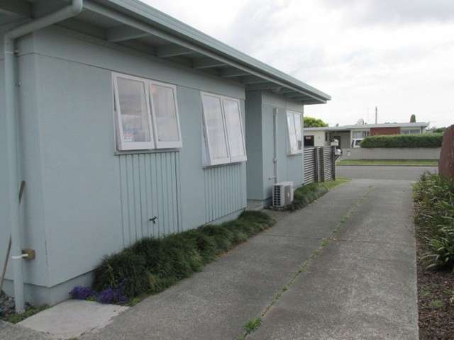 2/33 Ranfurly Street Tamatea_2