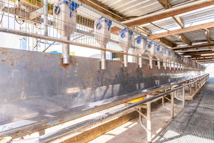 107 Molloy Road Ruawai_21