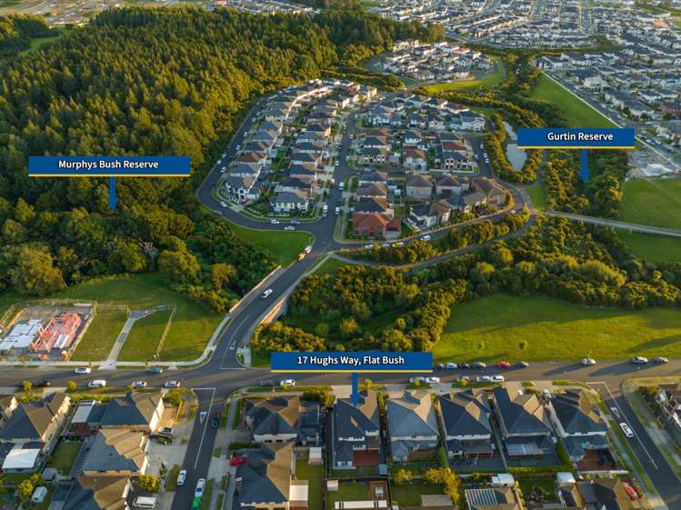 17 Hughs Way Flat Bush_3