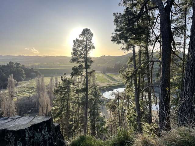 Be Quick this won't last