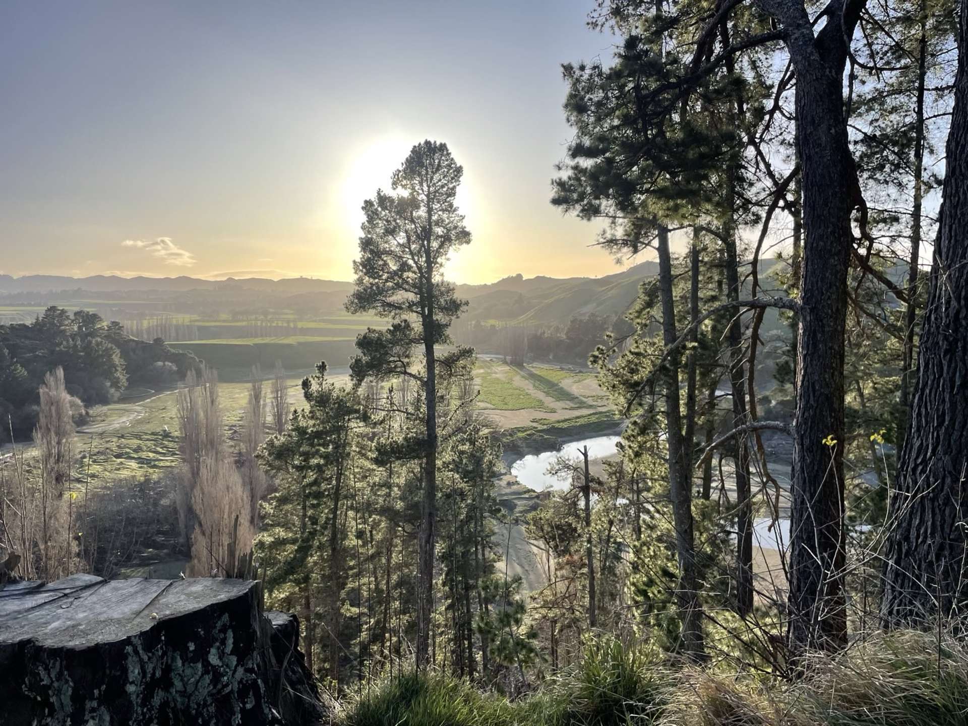 1019 Dartmoor Road Puketapu_0