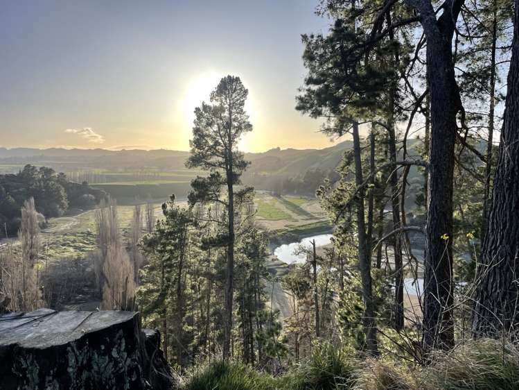 1019 Dartmoor Road_0