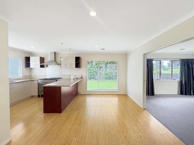 29 Nikau Street 1230_2