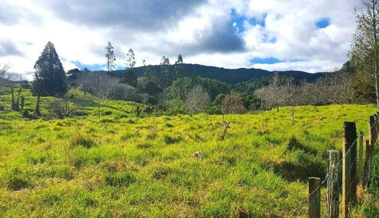 Wekaweka Road Waimamaku_20