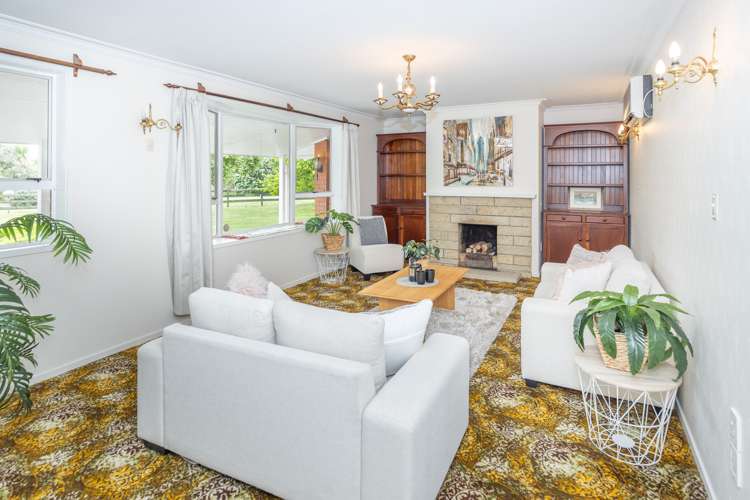 512 Kane Street Pirongia_5