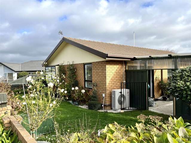 26a Reginald Street Burwood_2