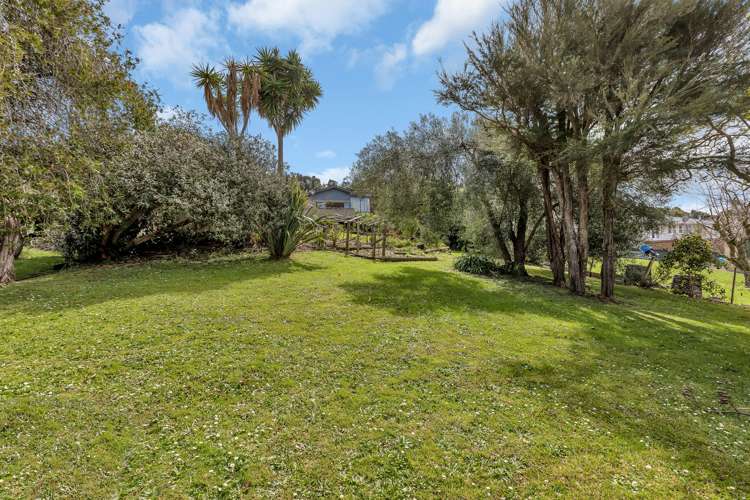 25 Wilson Avenue Avenues_21