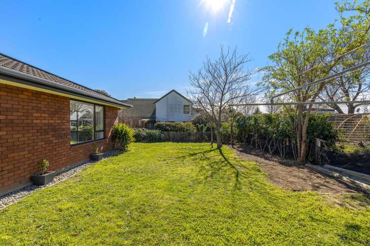 223 Redwood Street Witherlea_23