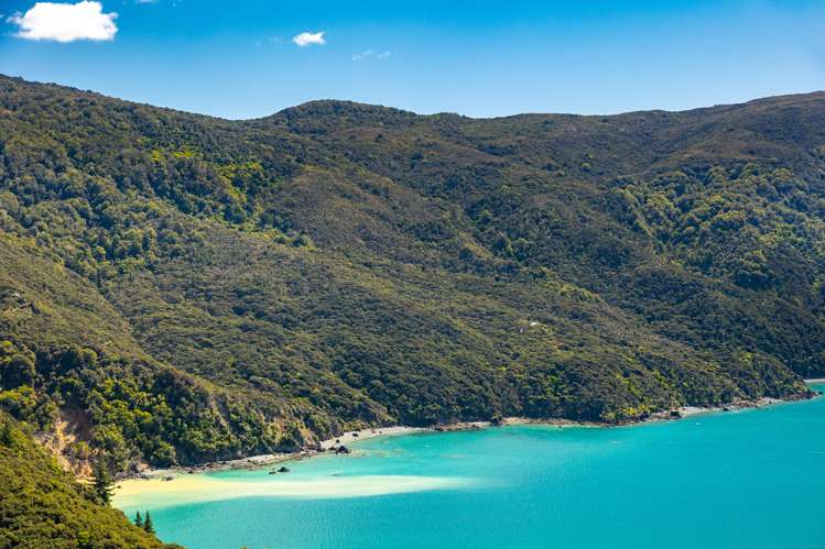 Lots 1,2 and 3 D'Urville Island Marlborough Sounds_2